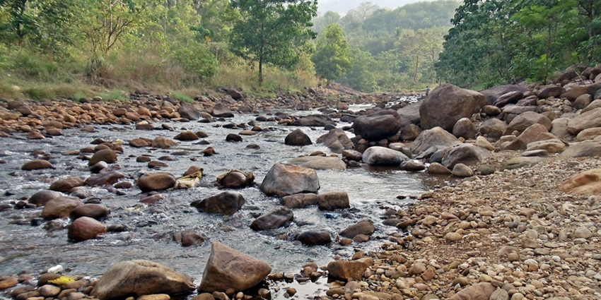 Stream of Kallar washing through its rocky shores amidst verdant and dense forest