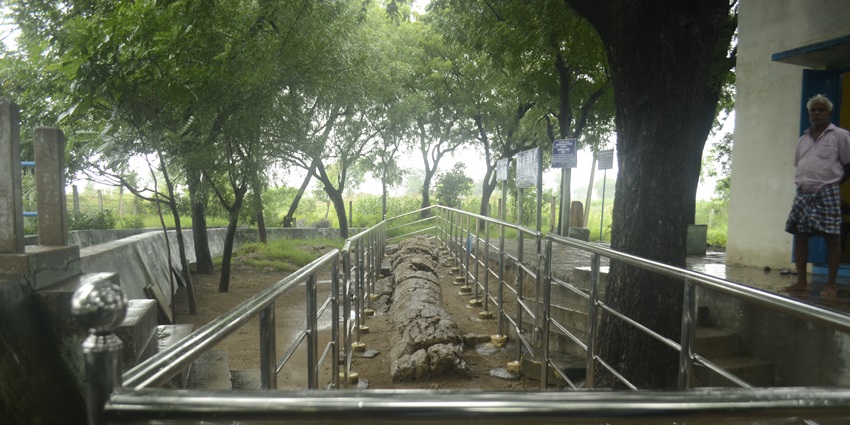 Having an insightful experience at Suketi Park is one of the best things to do in Nahan.