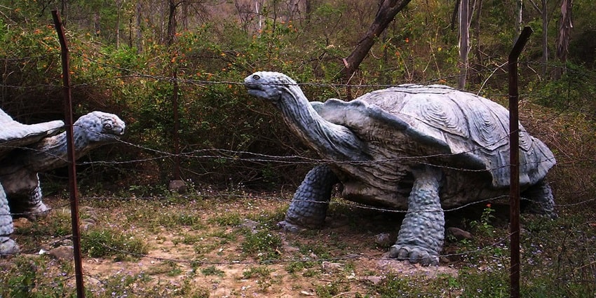 Barof site - Visiting the prehistoric museum is one of the best things to do in Barog