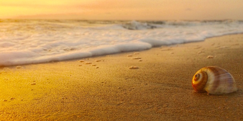 Enclosed by greenery, Vypin Beach is one of the captivating beaches in Kochi, Kerala.