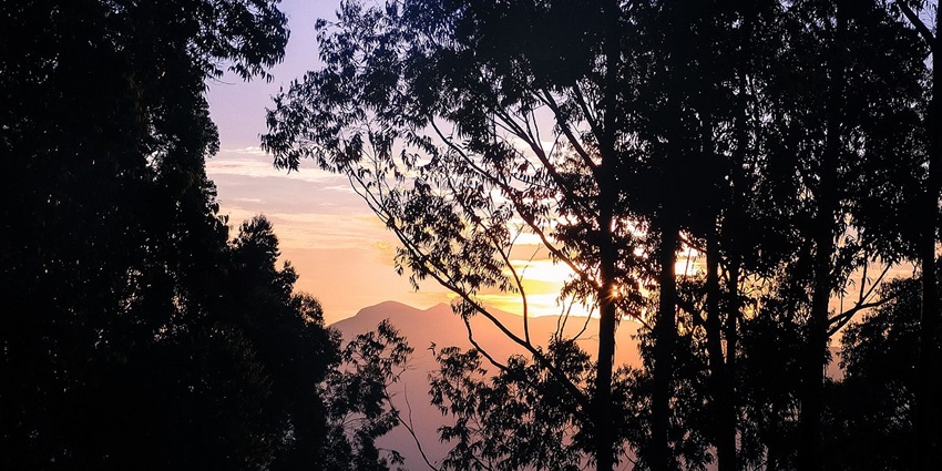 Sunrise at Munnar with mist-covered hills - one of the best hill station near Thrissur