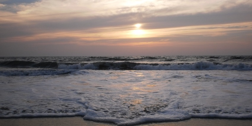 Enjoy the sunset at Cherai beach near Vypin Island and dive to uncover diverse marine species