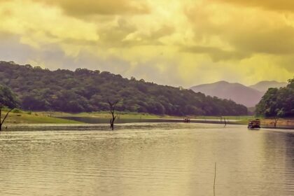 Immerse yourself in the raw beauty of nature while exploring the Thekkady Sanctuary.