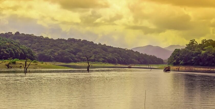 Immerse yourself in the raw beauty of nature while exploring the Thekkady Sanctuary.