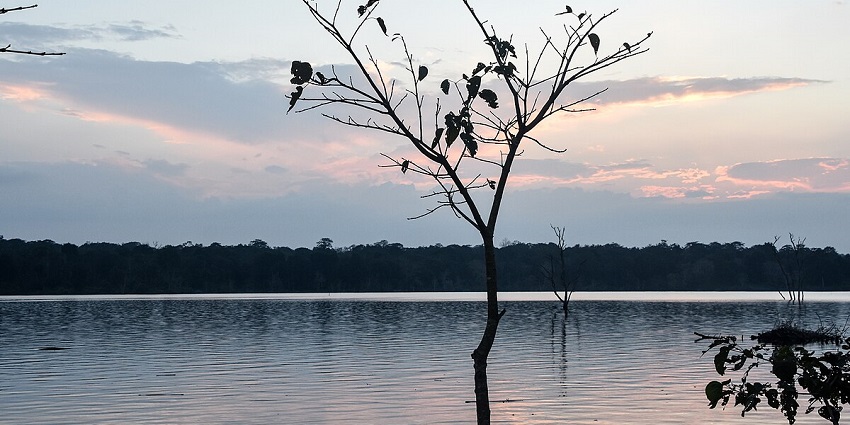 One of the places to visit near Kabini is the Kabini Reservoir for enchanting views