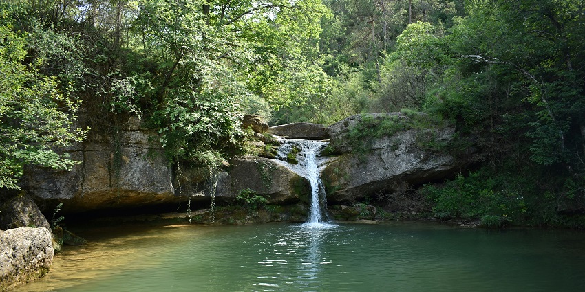 Swimming is one of the most refreshing activities to do in Kozhippara Waterfalls.