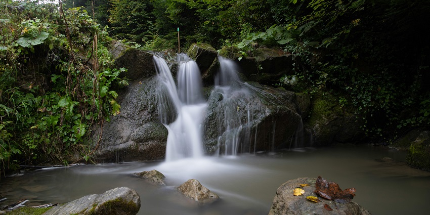 Swimming is one of the best activities to do near Ambanad Waterfalls to refresh.