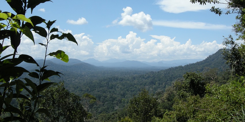 Taman Negara, a beautiful national park, is one of the best places to visit in Malaysia.