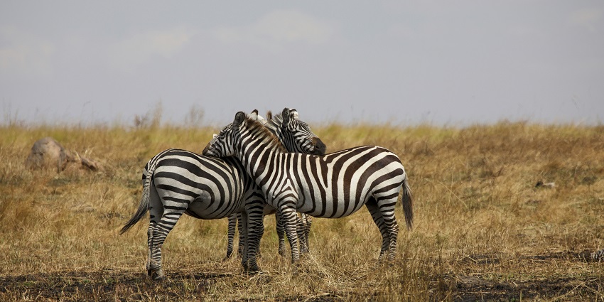Visit one of the best places to visit in the world in August for a memorable vacation
