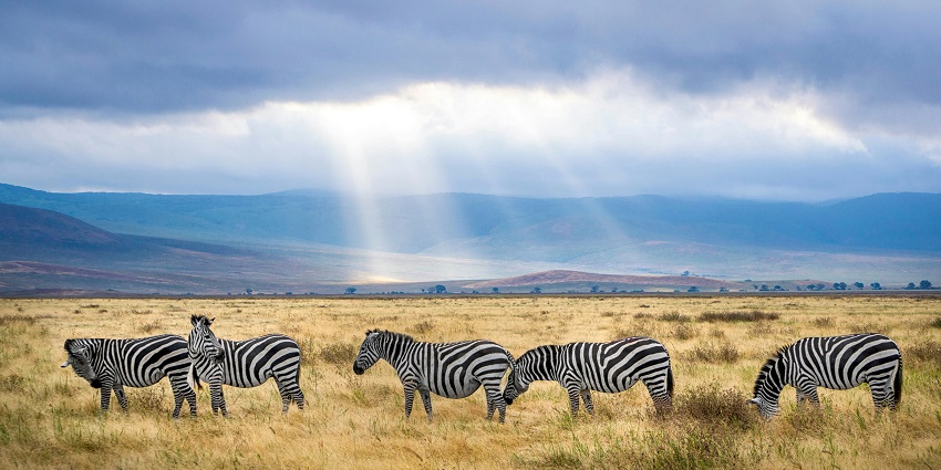 Visit one of these places to visit in the world in July and explore different cultures