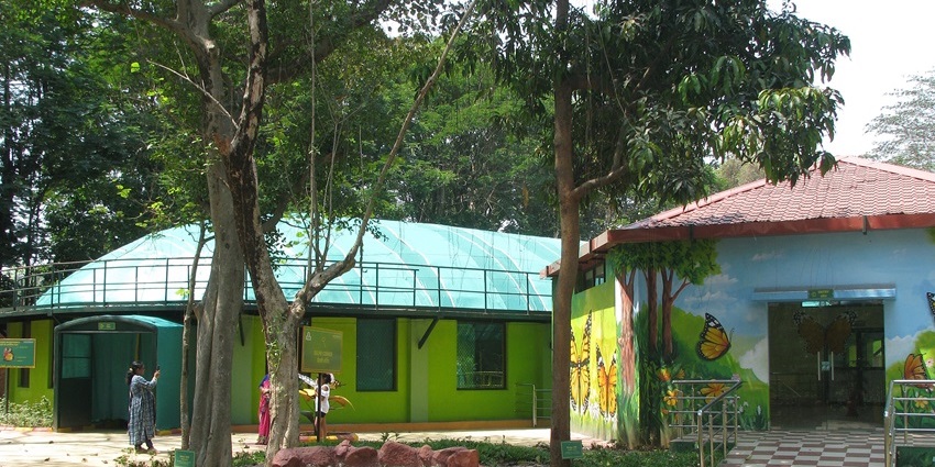 Tata Steel Zoological Park is home to a diverse wildlife, including mammals and birds.
