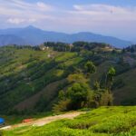 Darjeeling, with pretty tea estates, provides a great place to visit in summer in India with family.