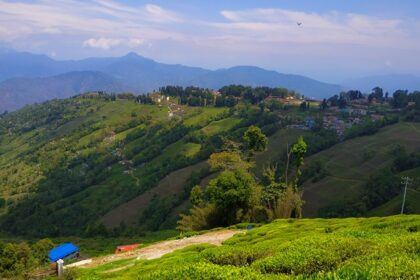 Darjeeling, with pretty tea estates, provides a great place to visit in summer in India with family.