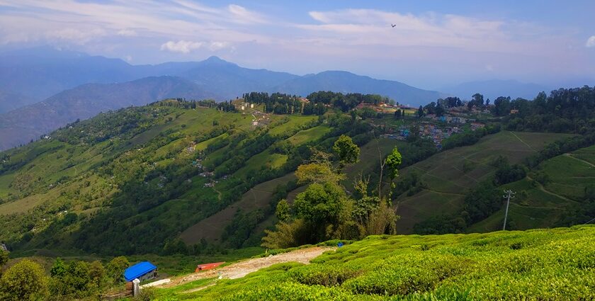 Darjeeling, with pretty tea estates, provides a great place to visit in summer in India with family.