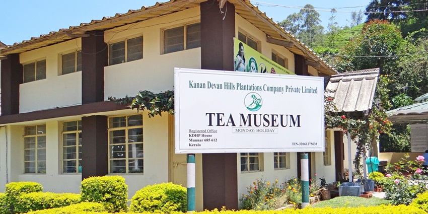 A stunning view of tea leaves of tea plantations in Munnar, one of the must-visit sites.