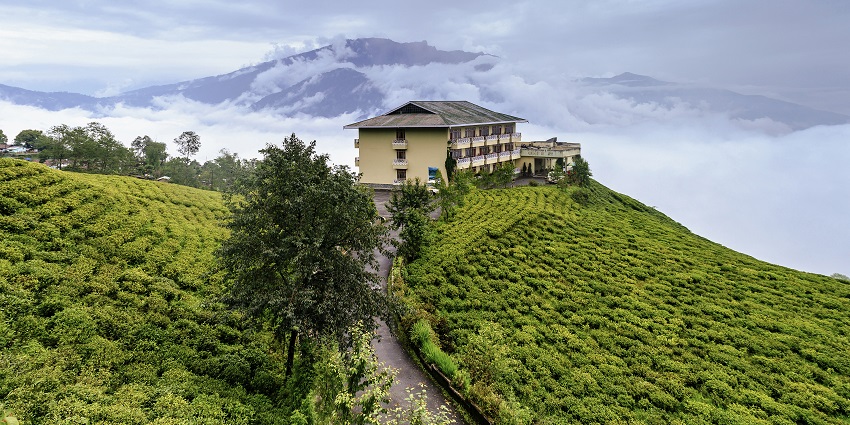A view of tea gardens, one of the best places to visit near Munnar Wildlife Sanctuary.