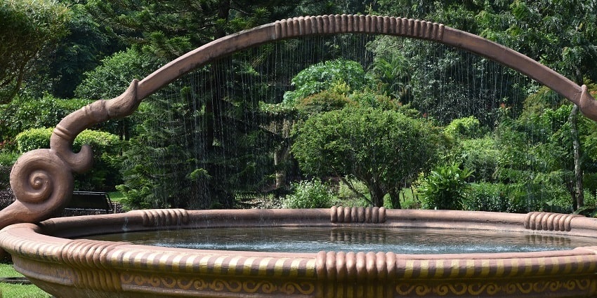 Teak Museum stores the ancient history of teak cultivation and its role in Kerala’ economy and culture.