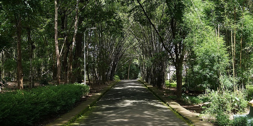Teak Museum is one of the best places to visit in Nilambur for nature enthusiasts.