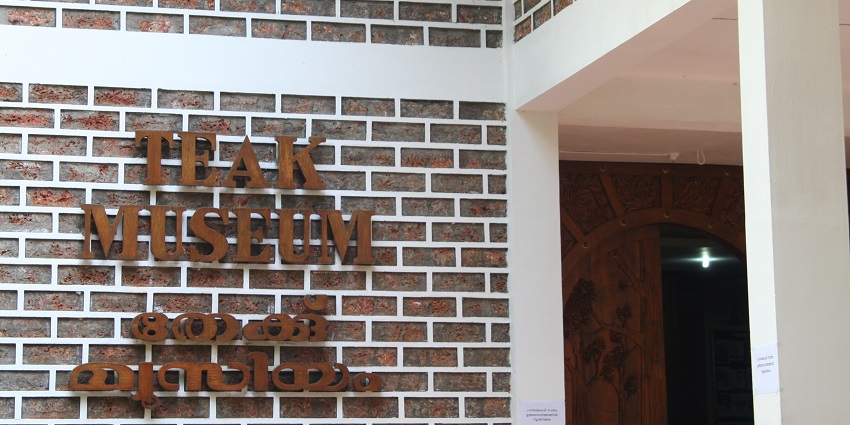 Visit the Teak Museum to enjoy exhibits of the 480-year-old teak tree in Kerala