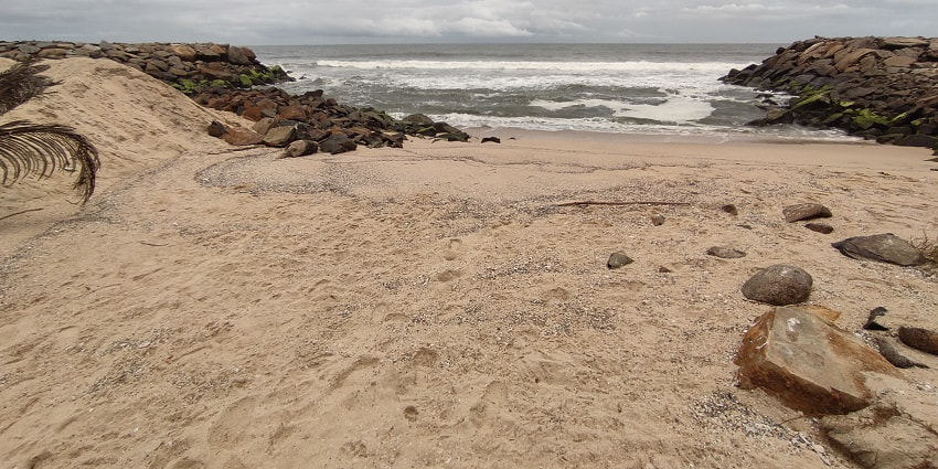One of the most picturesque beaches in Alleppey