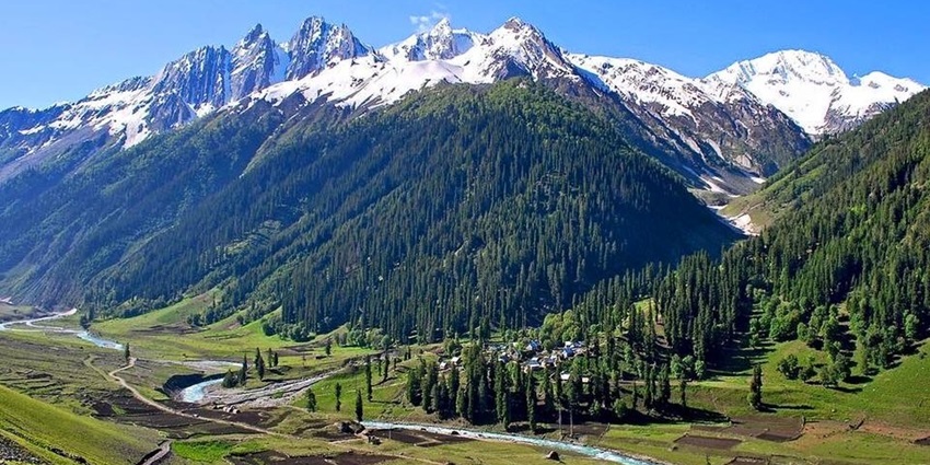 Thajiwas Glacier trek is a great option for people seeking just an escape amid Himalayas.
