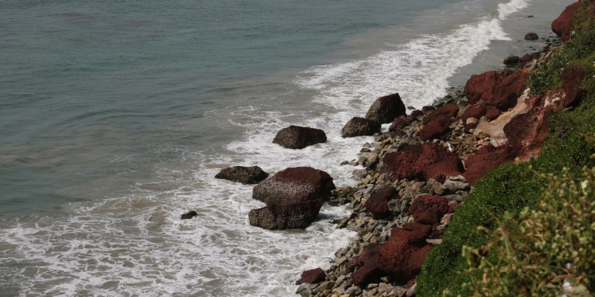A beautiful view of a beach in Kerala from a lush green cliff with rocks on the shore.