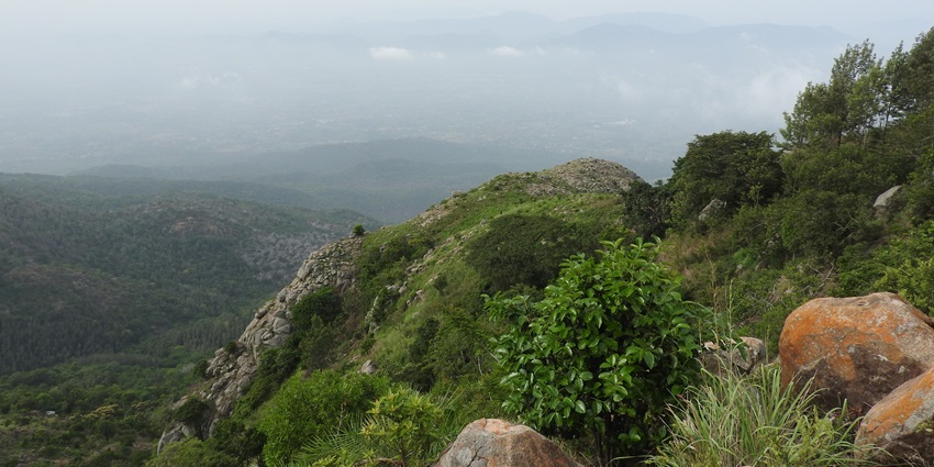 Thangalpara is believed to be the resting place of Sufi saint Hasrath Sheikh Fariduddin.