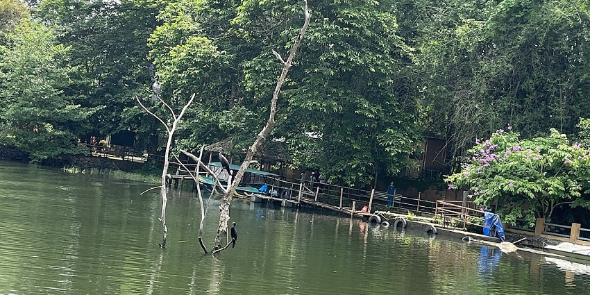 Thattekad Bird Sanctuary is one of the most stunning Kerala picnic places for families.