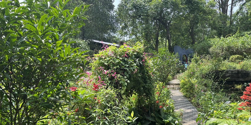 Vibrant plantation and flowers at the Thattekad Bird Sanctuary offering a enchanting sight