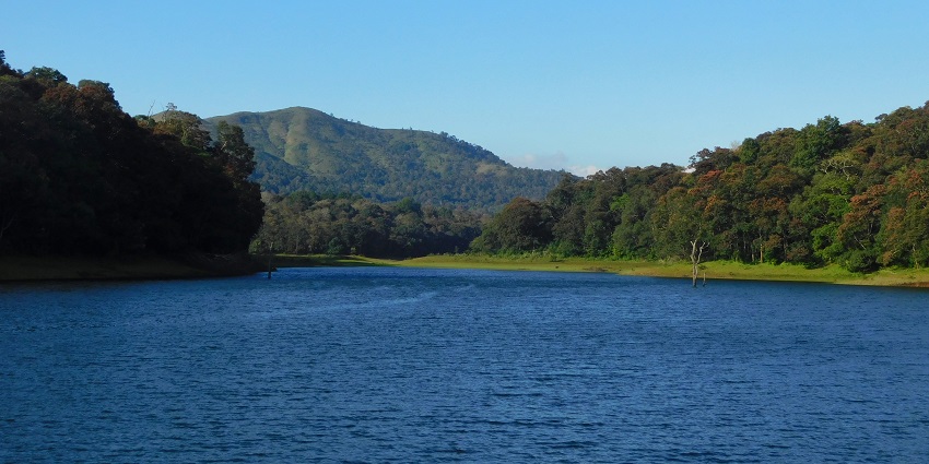 Lake amidst the hills of Thekkady, stroll in the lush valley and the tea plantation