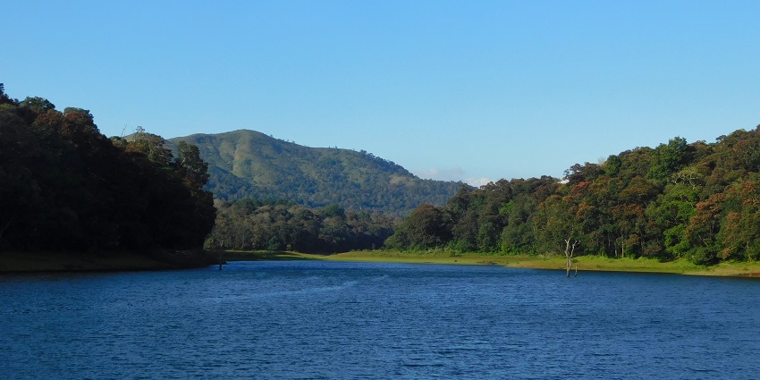 Rich wildlife with nature makes Thekkady a popular tourist attraction in Kerala in June.