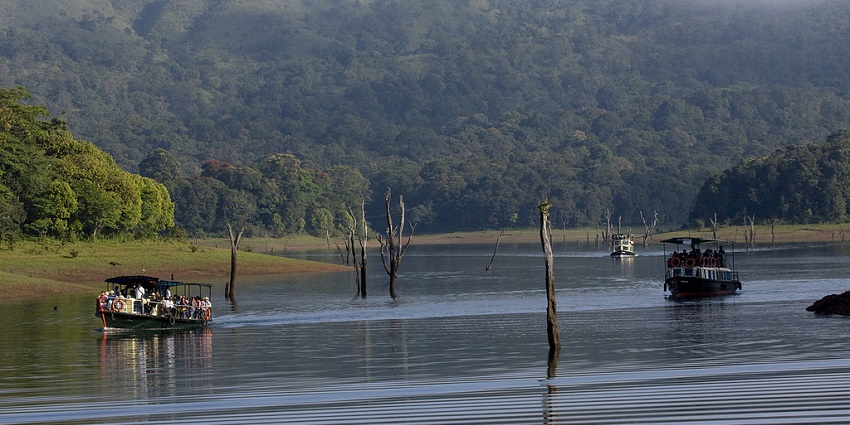 Enjoy the mesmerising views of nature at Thekkady, a tourist place in Kerala, India.