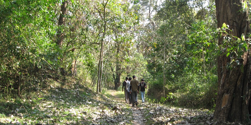 Hop on exciting treks through the natural trails of this wildlife Sanctuary, Kerala.