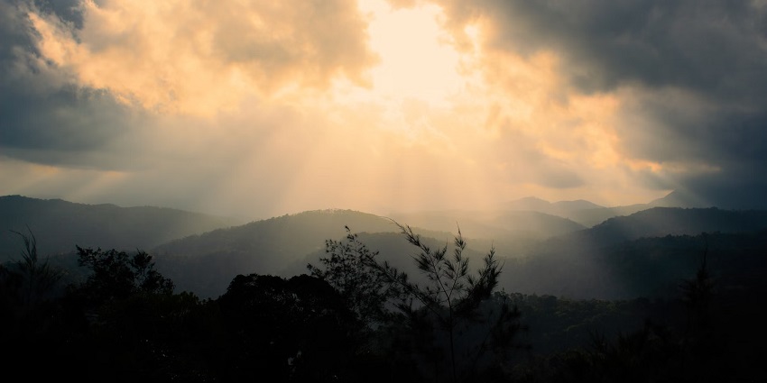 Explore enthralling views of nature with the places to visit in Kerala in January