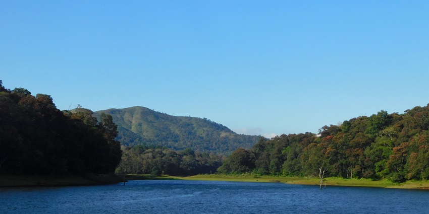 Explore the beautiful Thekkady on your next trip to Kerala, known as God's Own Country.