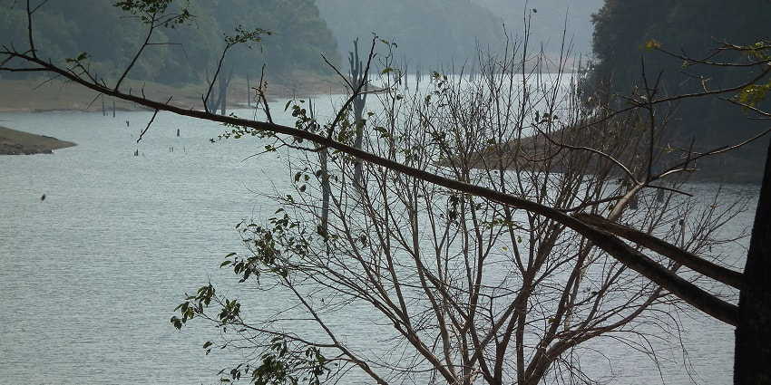Boating area of Thekkady- one of the best hill stations in Kerala for wildlife lovers