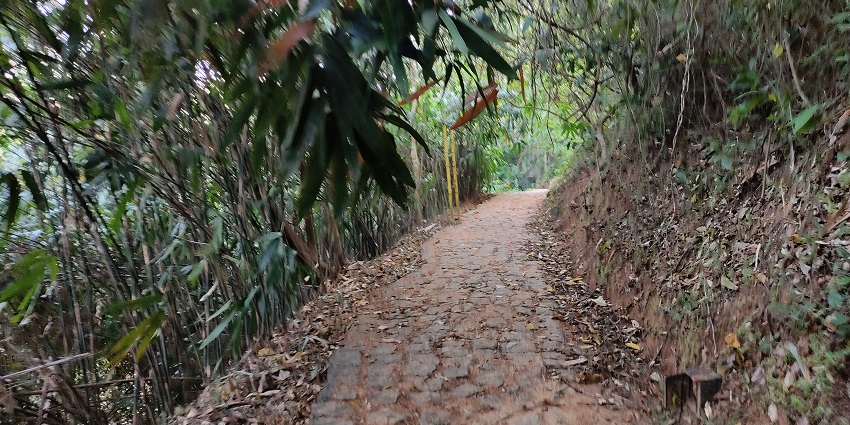 Thenmala dam leisure park walkway, lush green surround - best hill stations in Kollam
