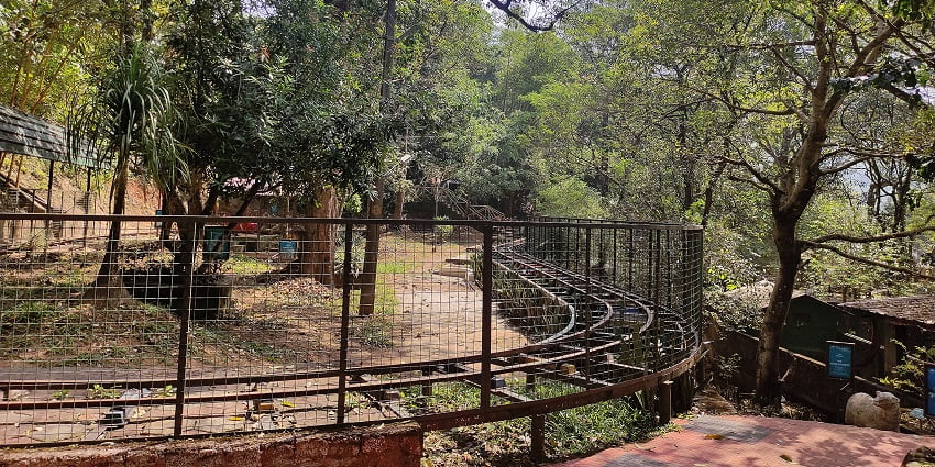 Thenmala Ecotourism centre is a best escape for wildlife enthusiasts near this temple