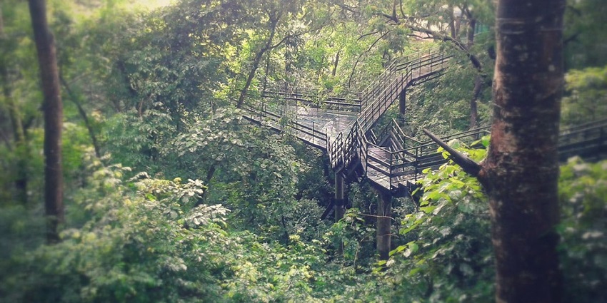 Thenmala Eco Park is a must-visit place near the Adavi Waterfalls for nature lovers.