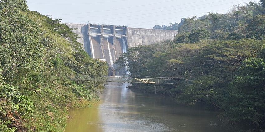 Thenmala Ecotourism is one of the most unique places to visit near Ashtamudi Lake.