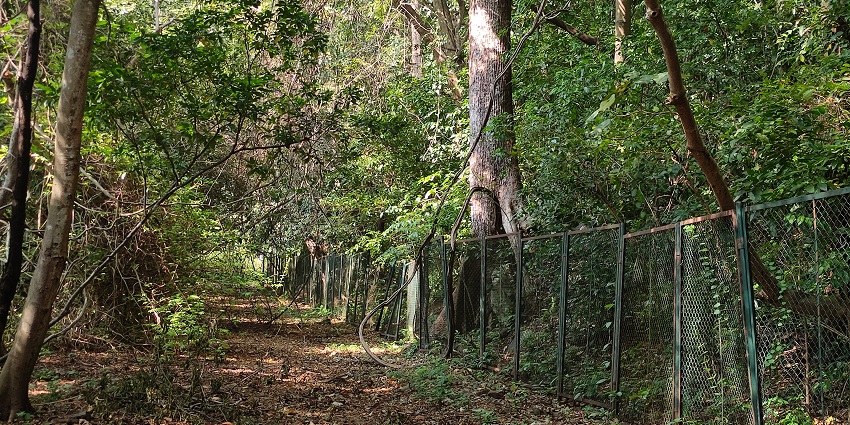 Explore the diverse flora and fauna of Thenmala Ecotourism on your trip to Kollam.