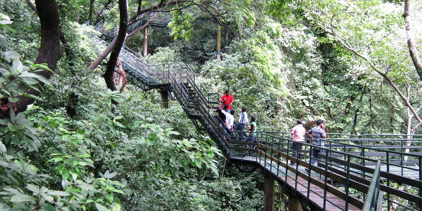 Lush green landscapes and serene waters of Thenmala, Kerala's eco-tourism hotspot.