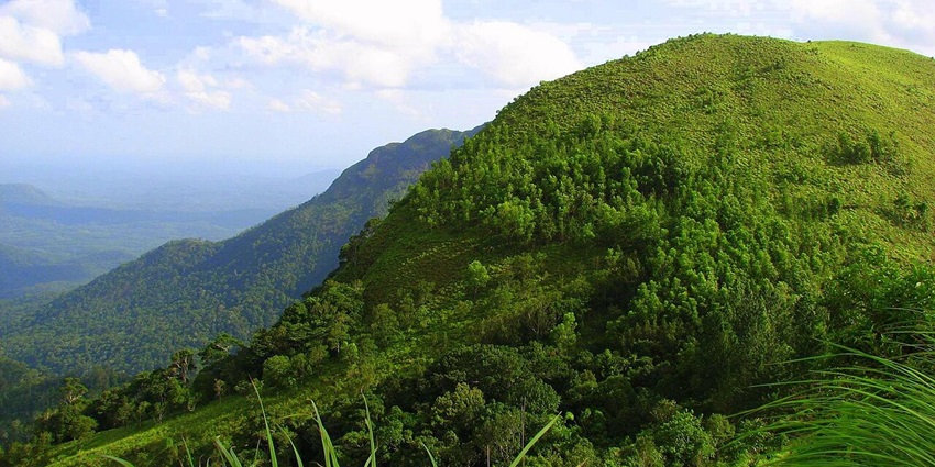 Forested hills around Thirichittoor Rock, one of the nature spots offering an escape from city.