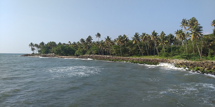 Seaside of the Thirumullavaram beach with palm trees - Places to visit in Kollam