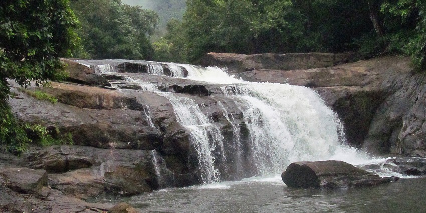 Thommankuth Waterfalls has an intricate pattern of flowing waters within a dense forest