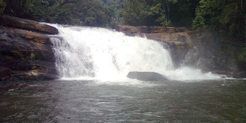 Thommankuthu Waterfalls surrounded by greenery, with cascading streams & natural pools.