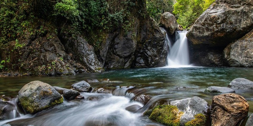 Thooval Waterfall nestled in a serene forest setting, cascading gently over rocks.