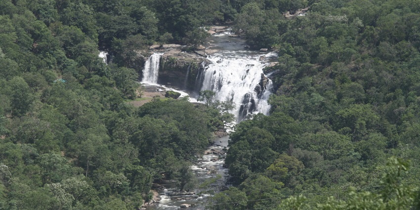 A panoramic view of the Thoovanam Falls, one of the places to visit in Munnar for couples