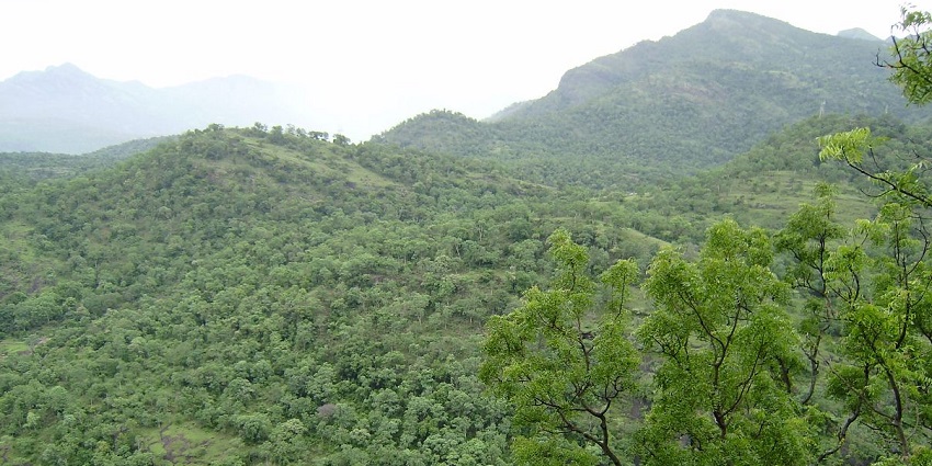 A scenic view of the Thoovanam Waterfalls, one of the best places to visit in Kanthalloor.