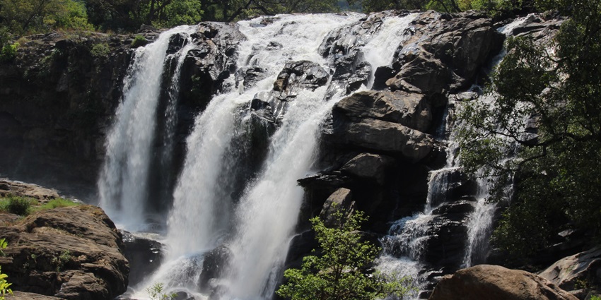 Lush Thoovanam Waterfalls with diverse plants and a rocky surroundings